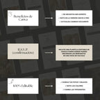 Invitación web boda - Plantilla editable en Canva - Minimalista